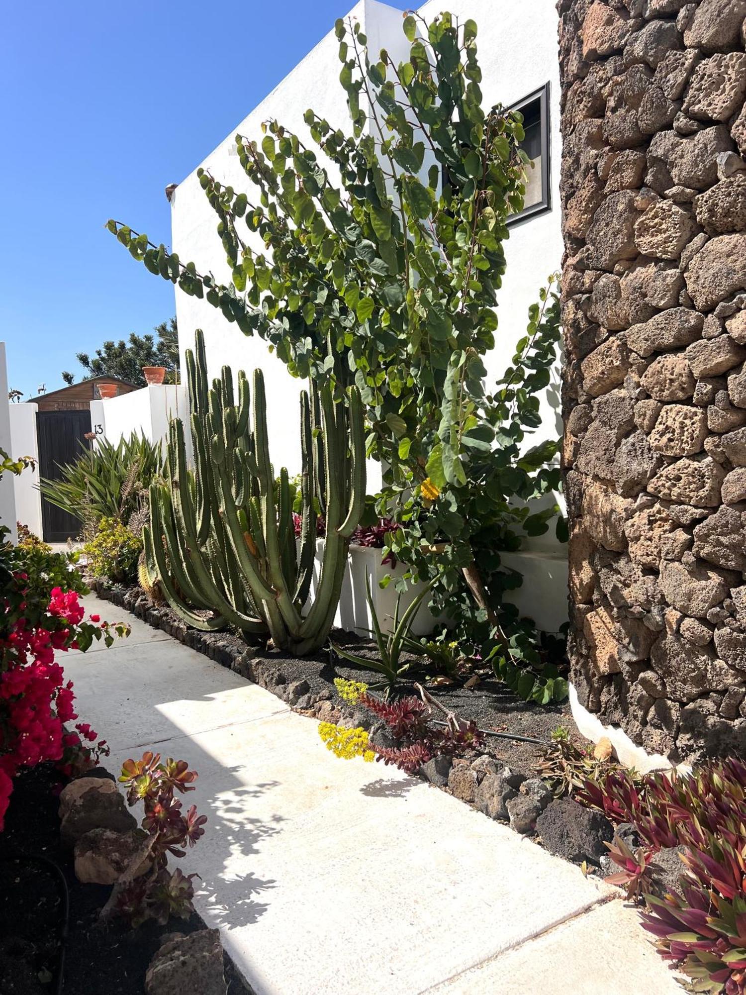 코스타 테기세 Oasis En Lanzarote 빌라 외부 사진