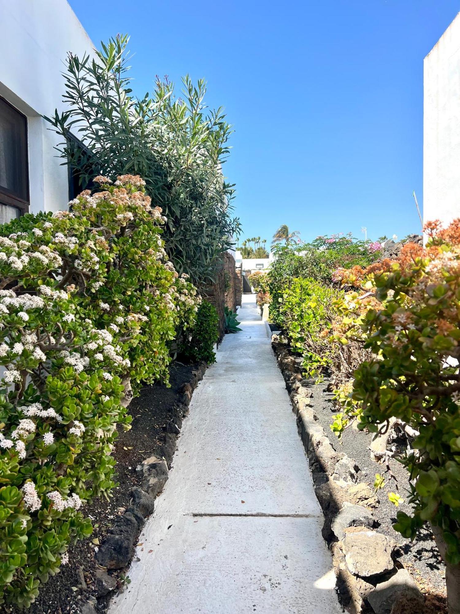 코스타 테기세 Oasis En Lanzarote 빌라 외부 사진