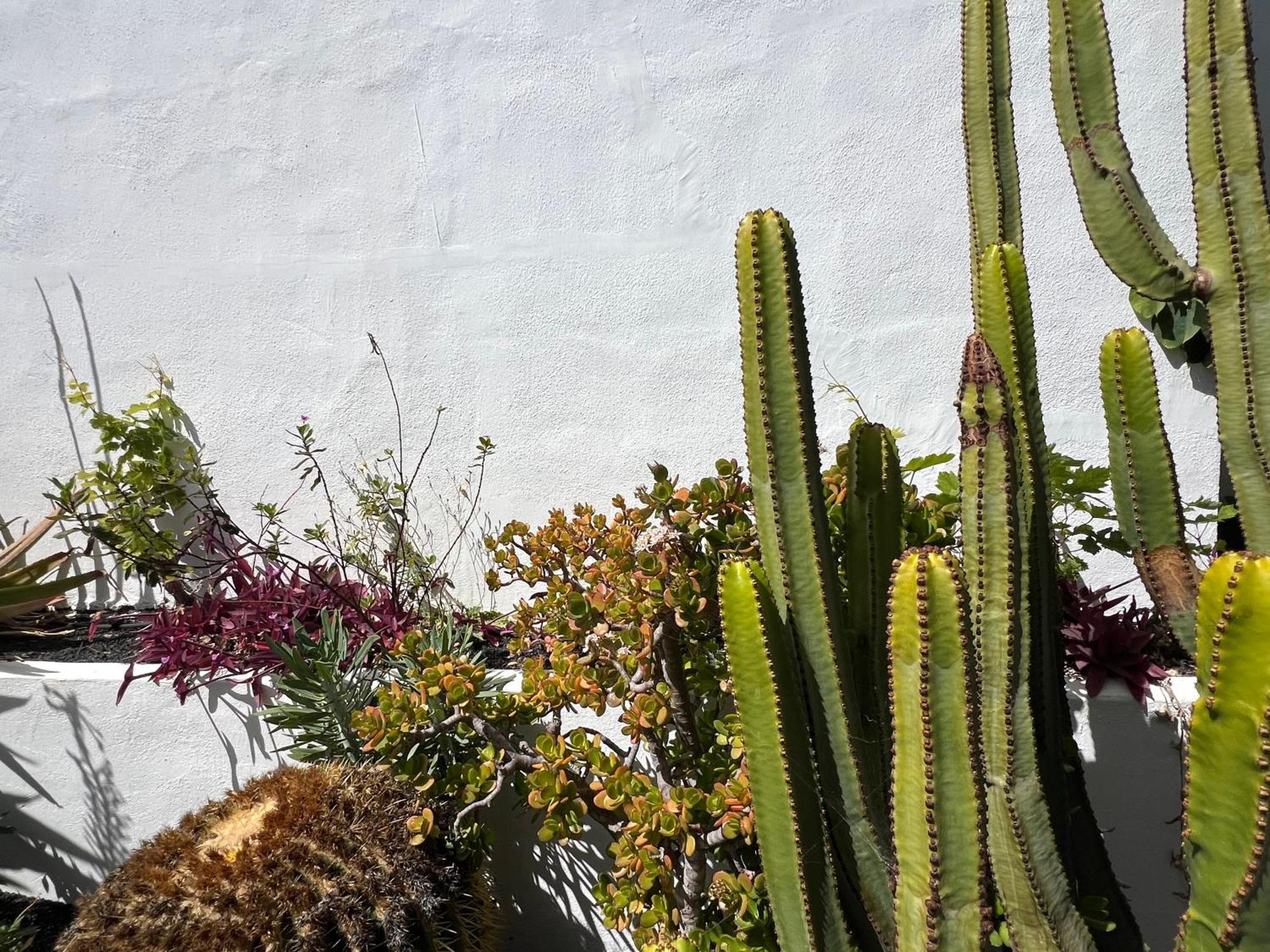 코스타 테기세 Oasis En Lanzarote 빌라 외부 사진