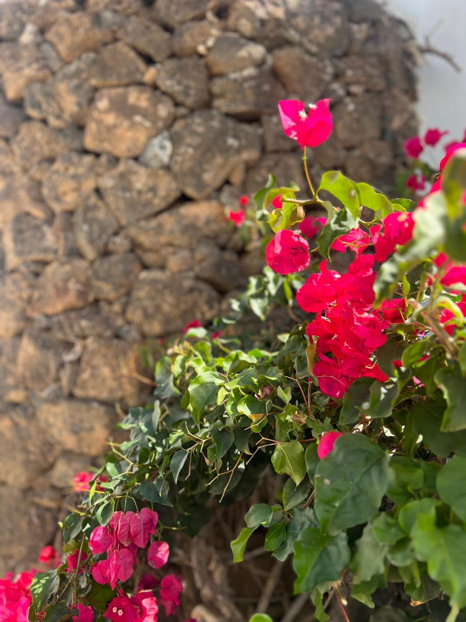 코스타 테기세 Oasis En Lanzarote 빌라 외부 사진